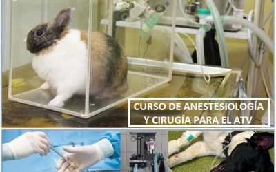 Curso de cirugía y anestesiología para el ATV